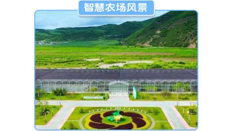 良田百世运动假日景区