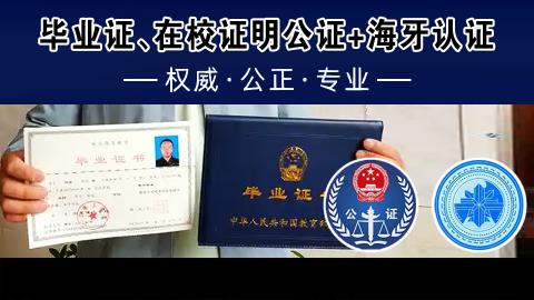 毕业证、在校证明公证+海牙认证
