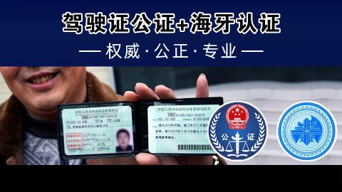 驾驶证公证+海牙认证
